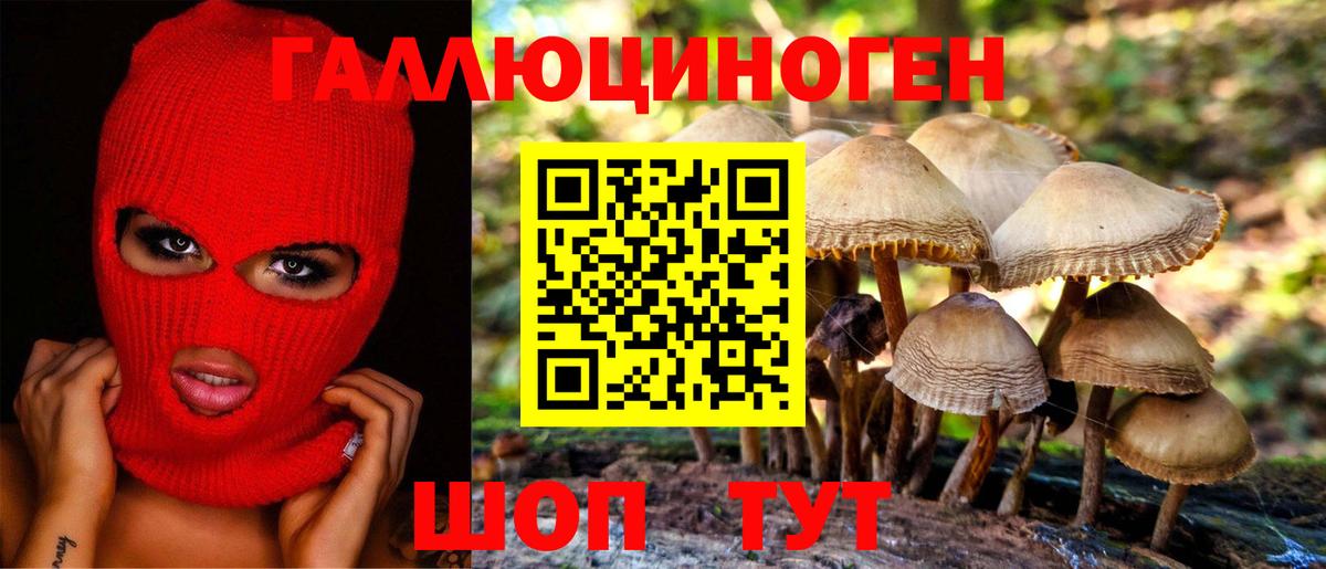 Галлюциногенные грибы прущие грибы  Вход с VPN  Псилоцибиновые грибы Cubensis  Красный Сулин 