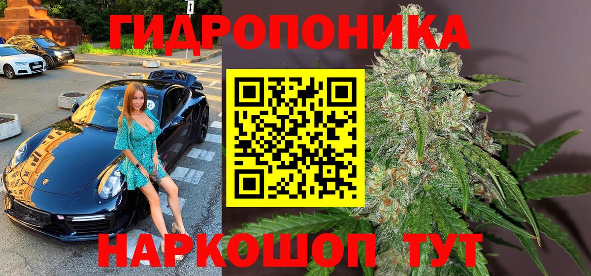Красный Сулин  Канабис планчик  Каннабис LSD WEED  Вход с VPN  Марихуана индика 